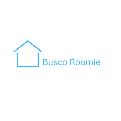 Artículo de blog Buscoroomie